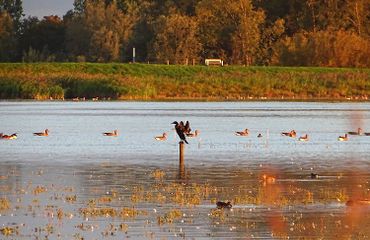 Crezeepolder / Jako van Gorsel