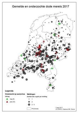 Kaartje merel virus