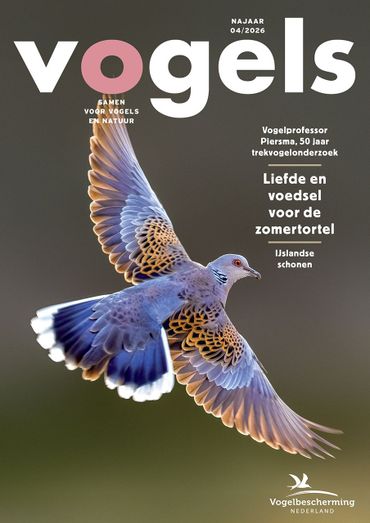 Cover Vogels 4/2026