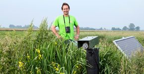 Weidevogelboer Wim van Ittersum / Fred van Diem Weidevogelboer Wim van Ittersum / Fred van Diem