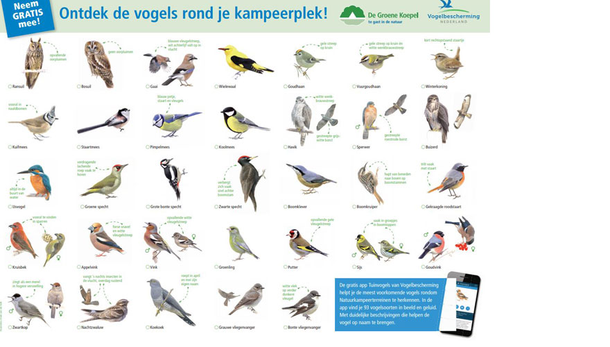 Kaart kampeervogels