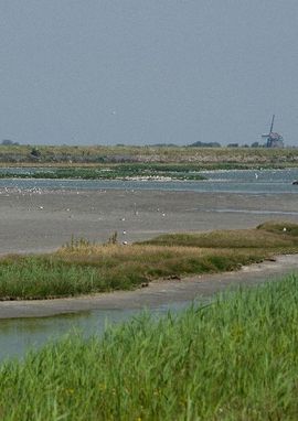 Basiskwaliteit natuur Noord-Holland