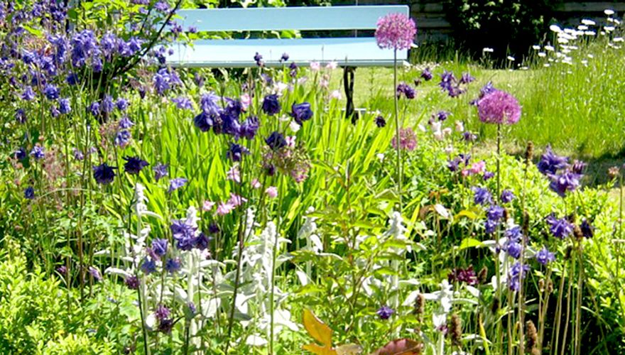 Tuin in Groningen - Magrite Glasz