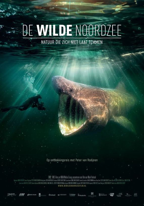 Poster De Wilde Noordzee