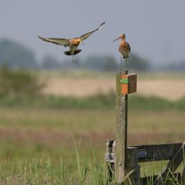 Wegwezen, mijn plek