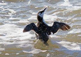 Kijk mij eens mooi zijn