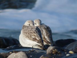 Knus, met de wind van achter en heerlijk in het zonnetje.