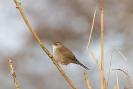 Ging er eens mooi voor zitten!!