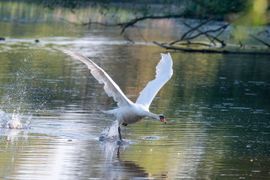 Ready for take-off
