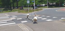 Samen op stap