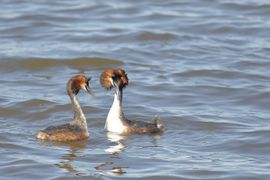 de lente is begonnen
