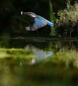 Een smakelijke maaltijd.