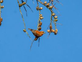 Een mooie winterdag in januari 