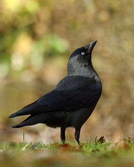 al het goede komt van boven