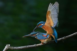 Zo zijn we op zijn mooist!