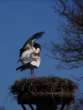 Foto 2 van Liefde is....