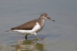 de kantjes er van af lopen