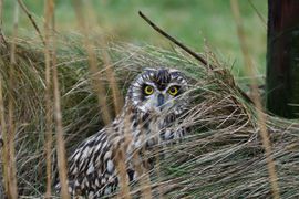 Jullie zien me toch niet?