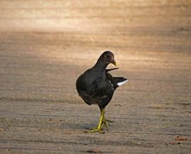 Op de catwalk.