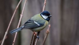 Even aanschuiven bij het ontbijt