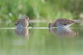 Samen is alles leuker