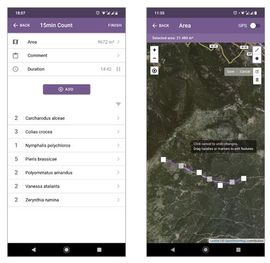 pictures app ButterflyCount announcement