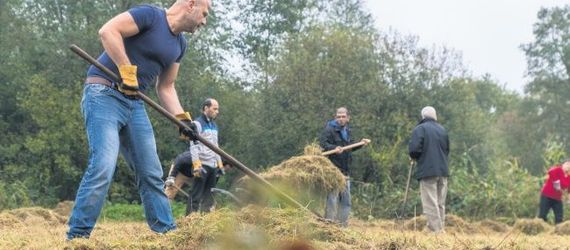 Vluchtelingen helpen vlinders