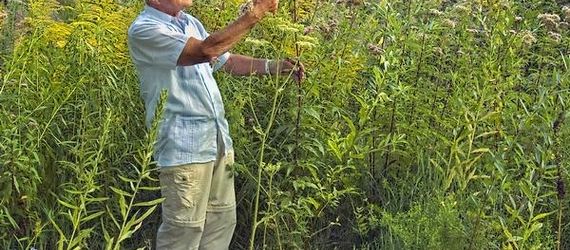 Frater Willibrordus Hilhorst