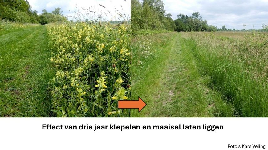 Effect klepelen, fotograaf Kars Veling