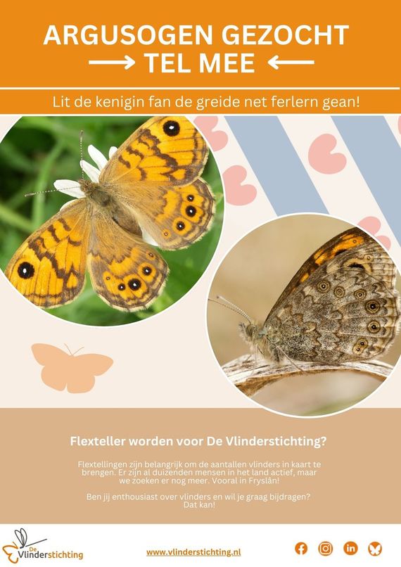 Argusogen gezocht