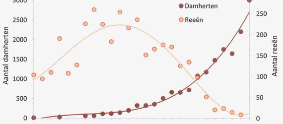 Ontwikkeling damherten en reeën in Awd