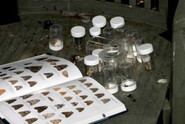 De vlinders worden gedetermineerd met de nachtvlindergids.