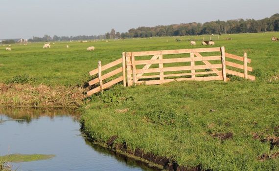 Houten hek Krimpenerwaard