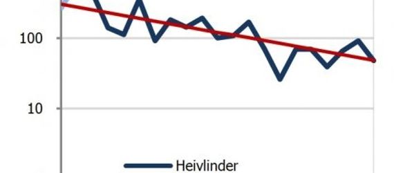 Ontwikkeling heivlinder tot 2011