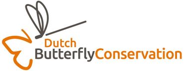 Logo De Vlinderstichting Engels - jpg