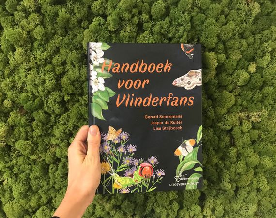 Handboek voor vlinderfans