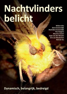 Nachtvlinders belicht