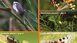 Kijk op exoten nr. 50