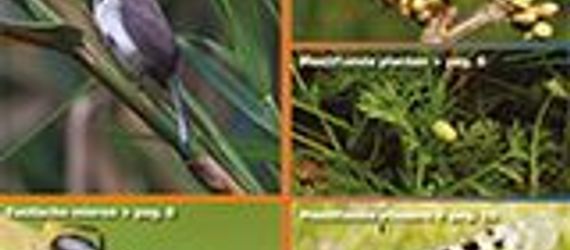 Kijk op exoten nr. 50