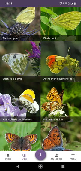 area to select ButterflyCount app